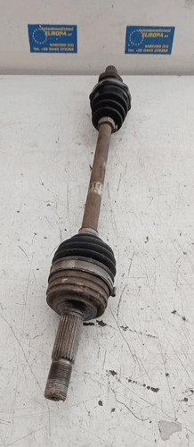 Semialbero ant compl sx - semialbero,